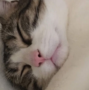 Meet your Posher, Deanna